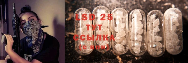 крисы Зерноград