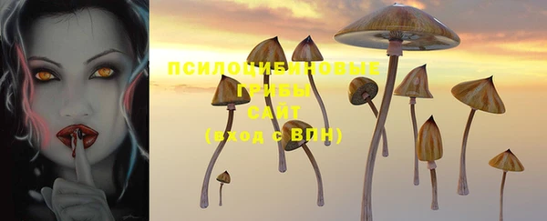 крисы Зерноград