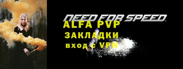 крисы Зерноград
