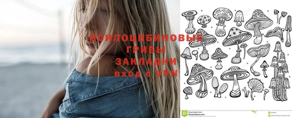 тгк Зеленокумск