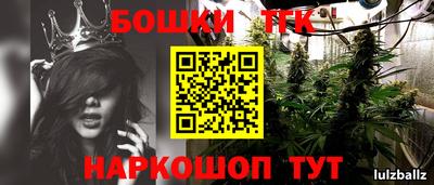молекула духа Кандалакша