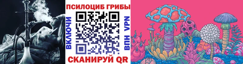 Псилоцибиновые грибы мицелий  Сегежа 