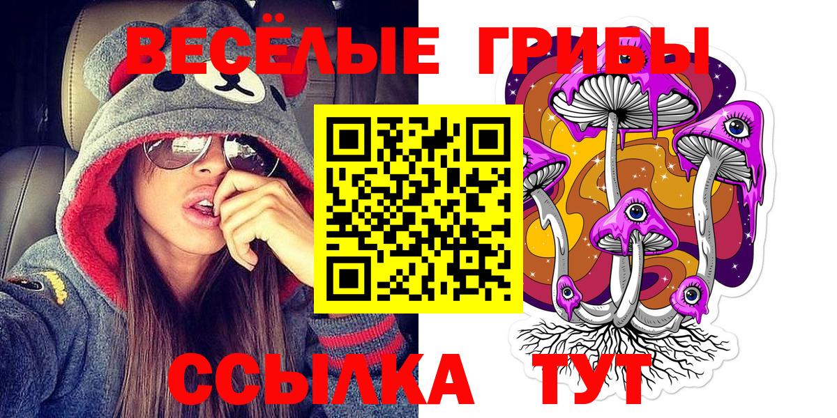 Галлюциногенные грибы ЛСД  Вход с VPN  Псилоцибиновые грибы мицелий  купить наркотики цена  Сегежа 