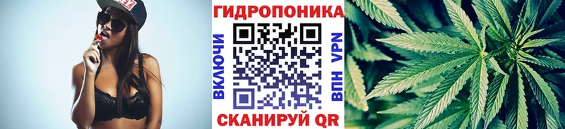 МАРИХУАНА планчик  Сегежа 